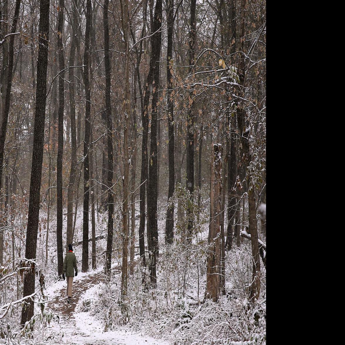 Brace Yourselves St Louis Winter Storm Watch Starts Sunday At Noon Metro Stltoday Com