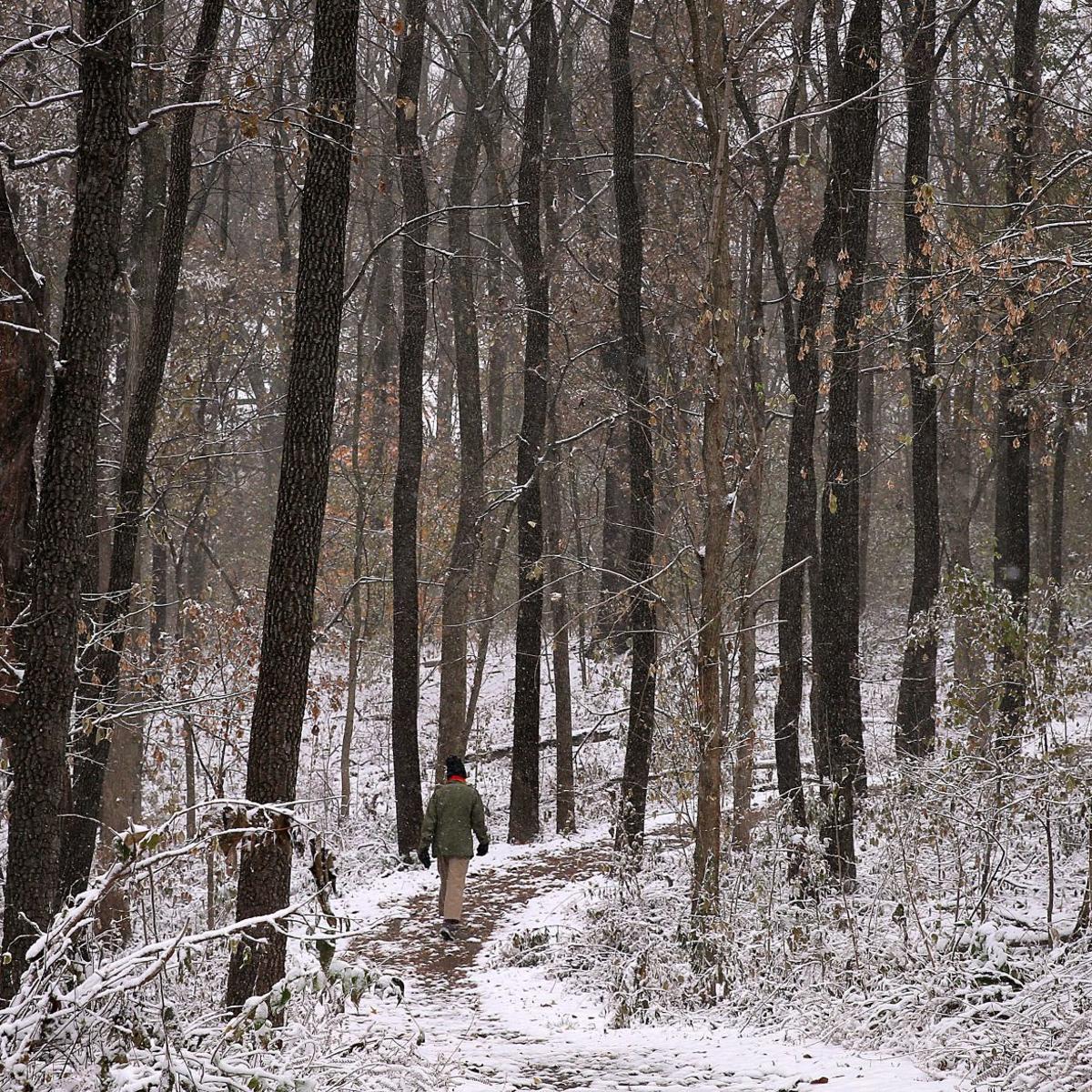 Brace Yourselves St Louis Winter Storm Watch Starts Sunday At Noon Metro Stltoday Com