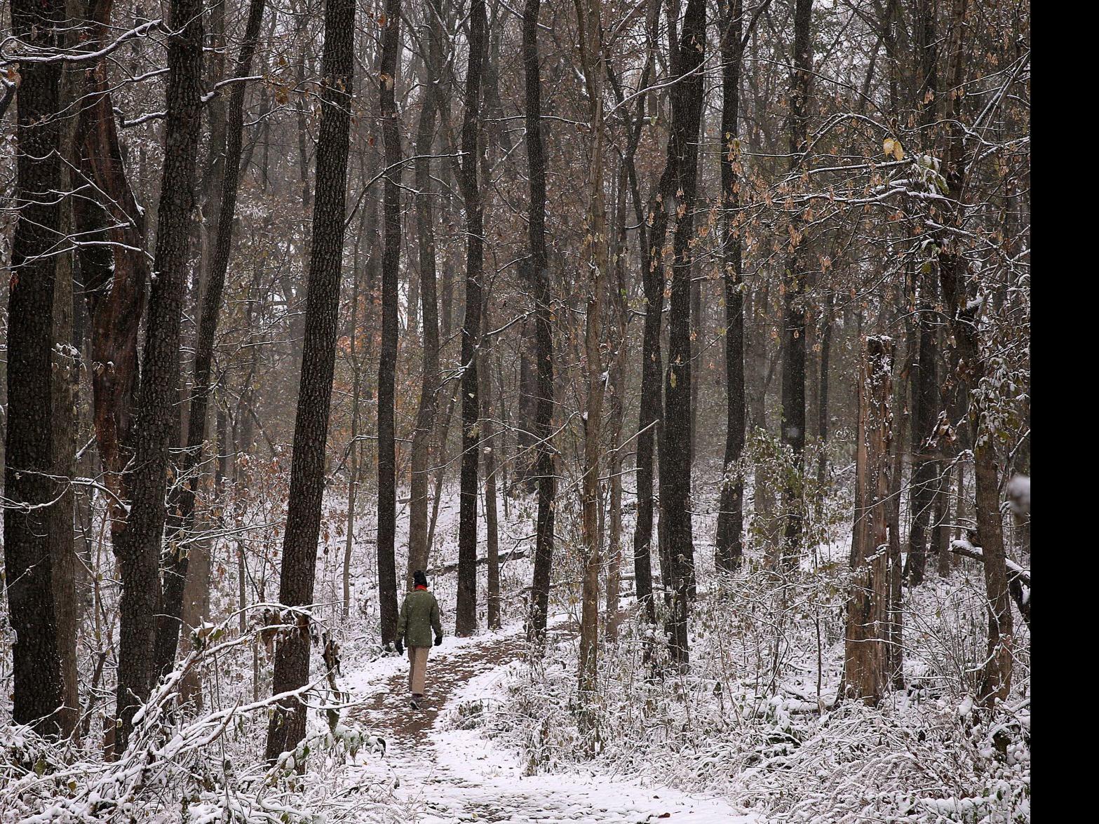 Brace Yourselves St Louis Winter Storm Watch Starts Sunday At