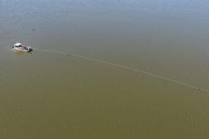 USGS collects nets and conducts research in effort to minimize invasive carp fish at Creve Coeur Lake