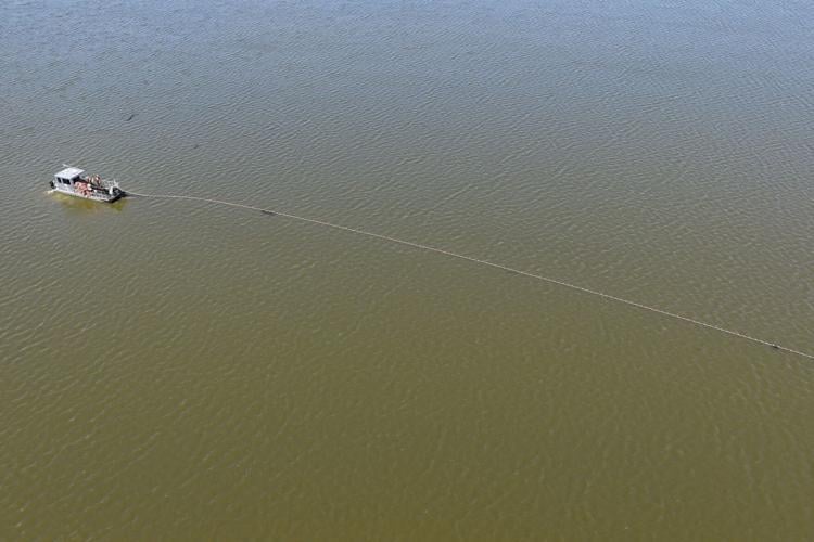 USGS collects nets and conducts research in effort to minimize invasive carp fish at Creve Coeur Lake