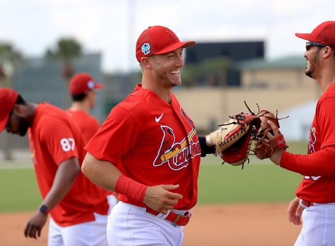 St. Louis Cardinals: Matt Wieters vs Andrew Knizner for catcher