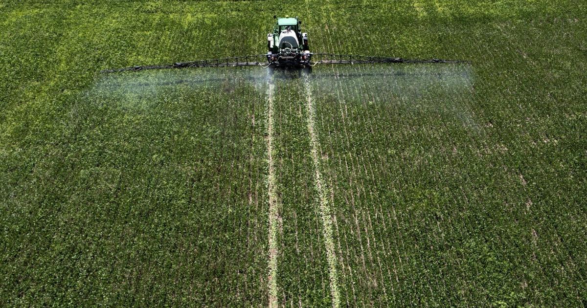 Image for article Trump tariffs hit Missouri farmers hard, they say. Thats going to come out of my pocket