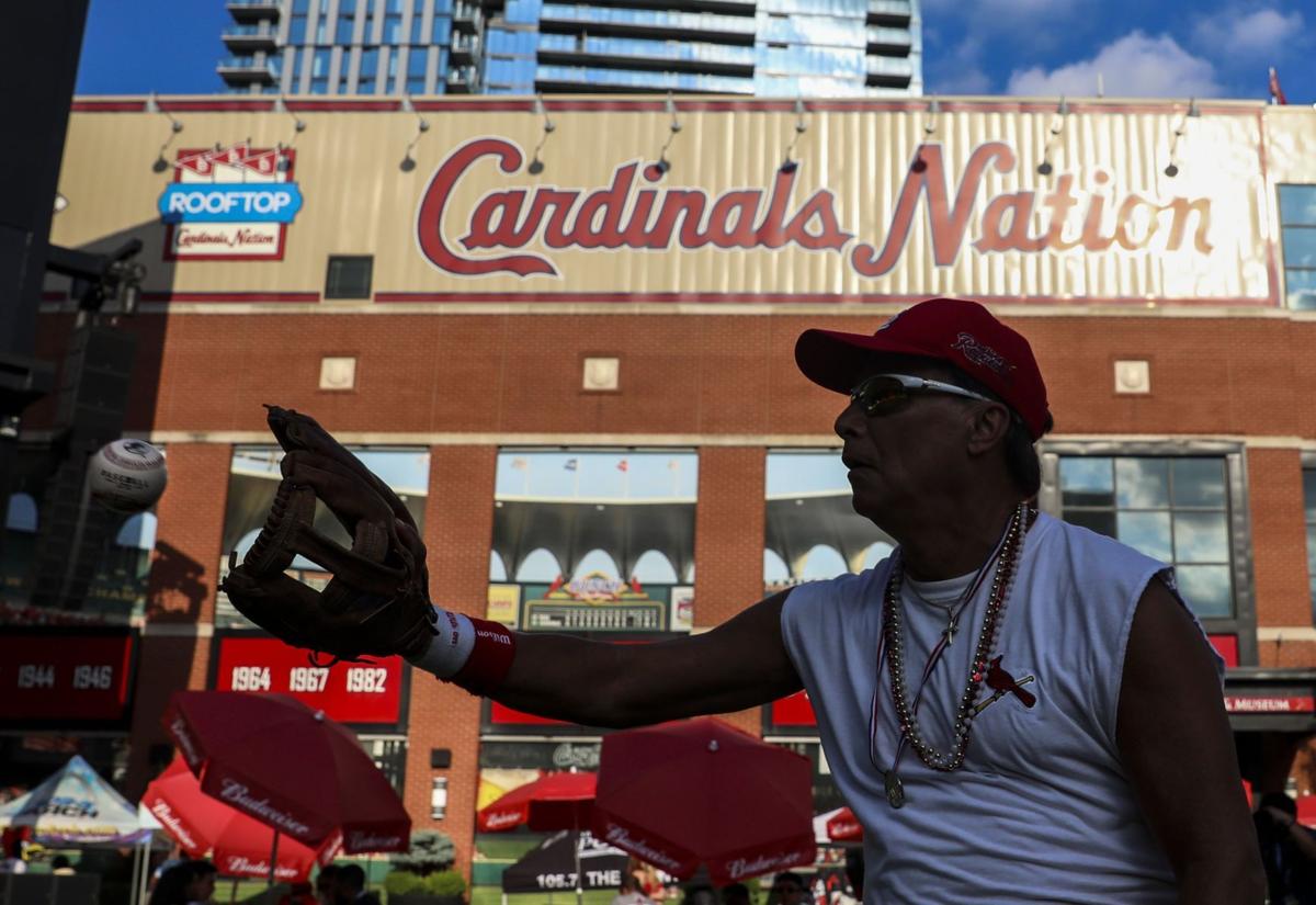 Busch St Louis Cardinals Batter Neonbeer Neon Signspub 