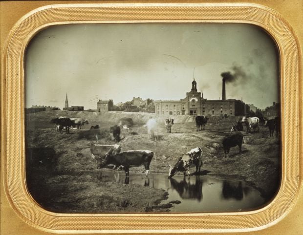 Chouteau's Pond, early 1850s