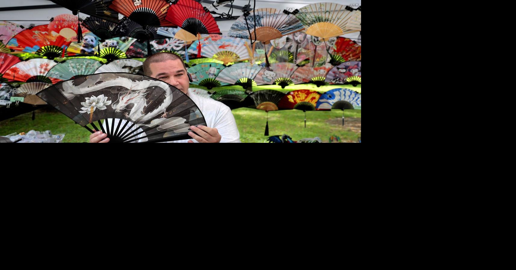 Thousands flood Main Drive in Tower Grove Park for annual Festival of Nations
