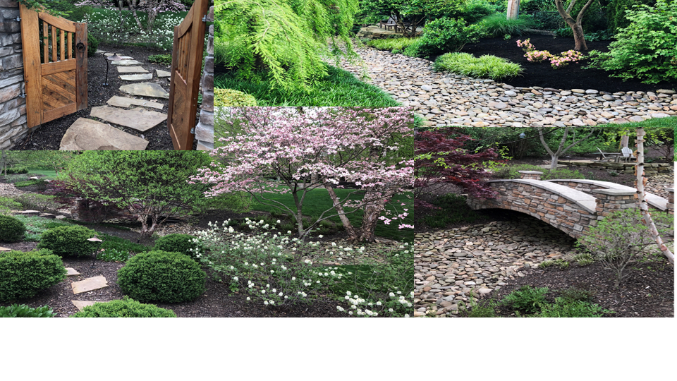See The 21 Finalists In Our Annual Great Garden Contest Home Garden Stltoday Com