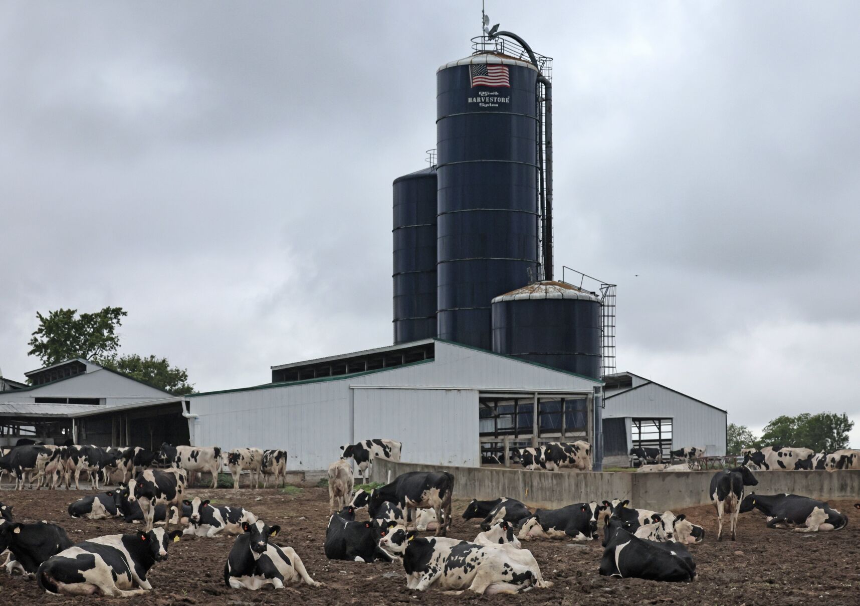 Prairie Farms To Launch Lactose-free Milk And Dairy Products