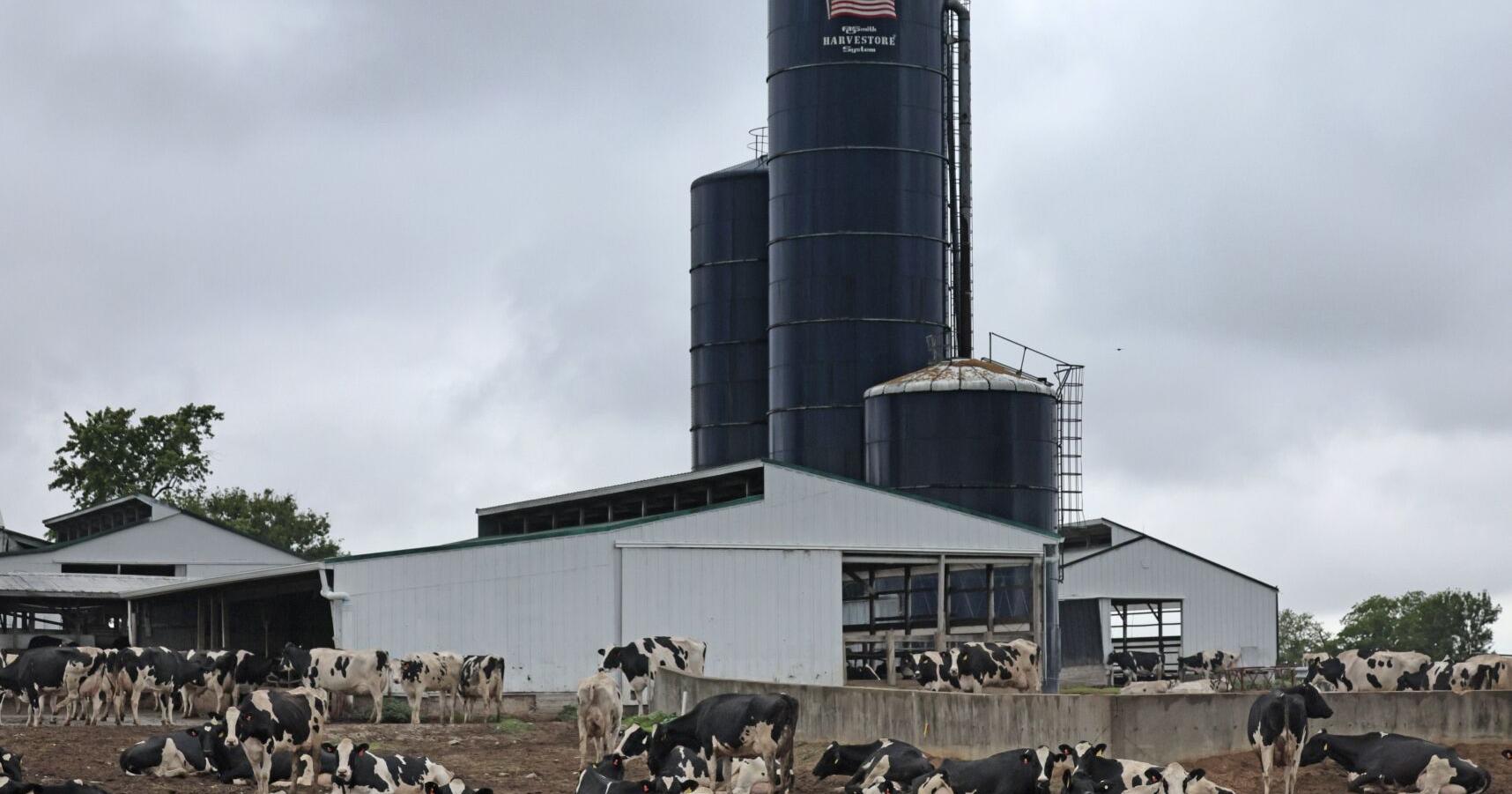 Prairie Farms to launch lactose-free milk and dairy products - Vimarsana News