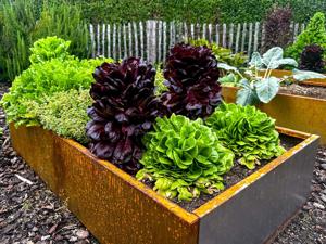 How to keep animals from wrecking your garden