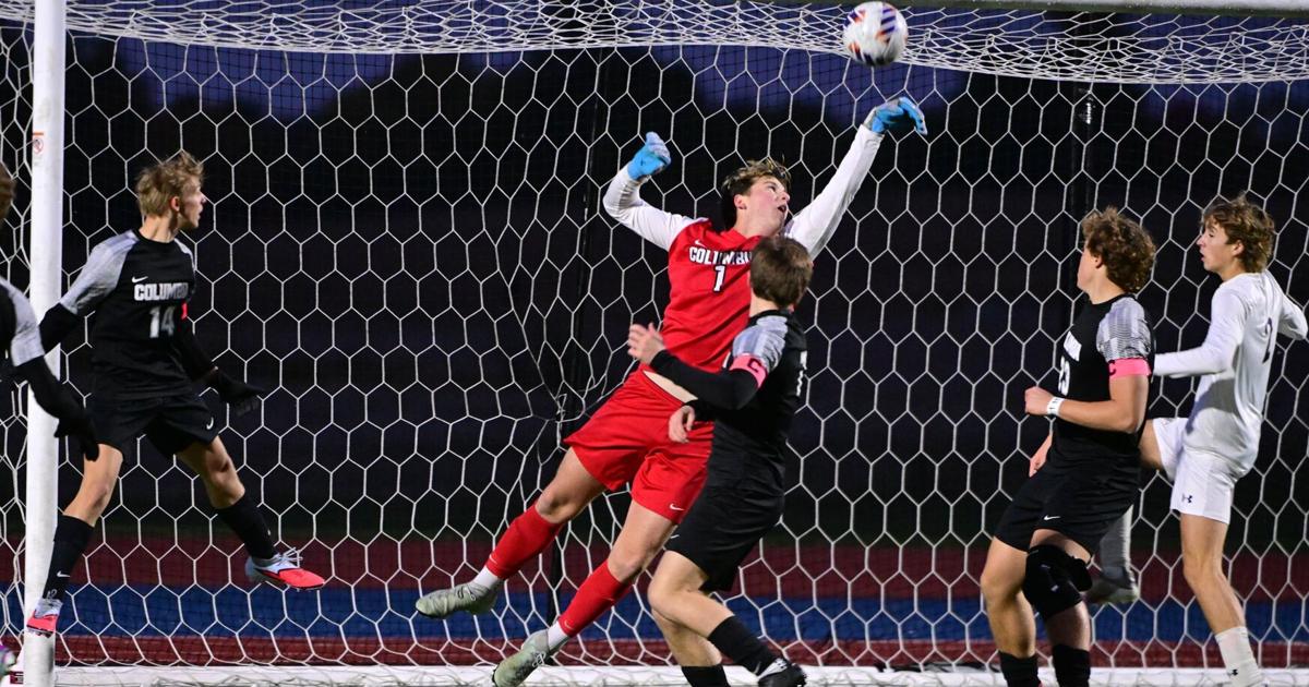 How Eli Thebeau shifted momentum in Columbia's sectional final shutout of ...