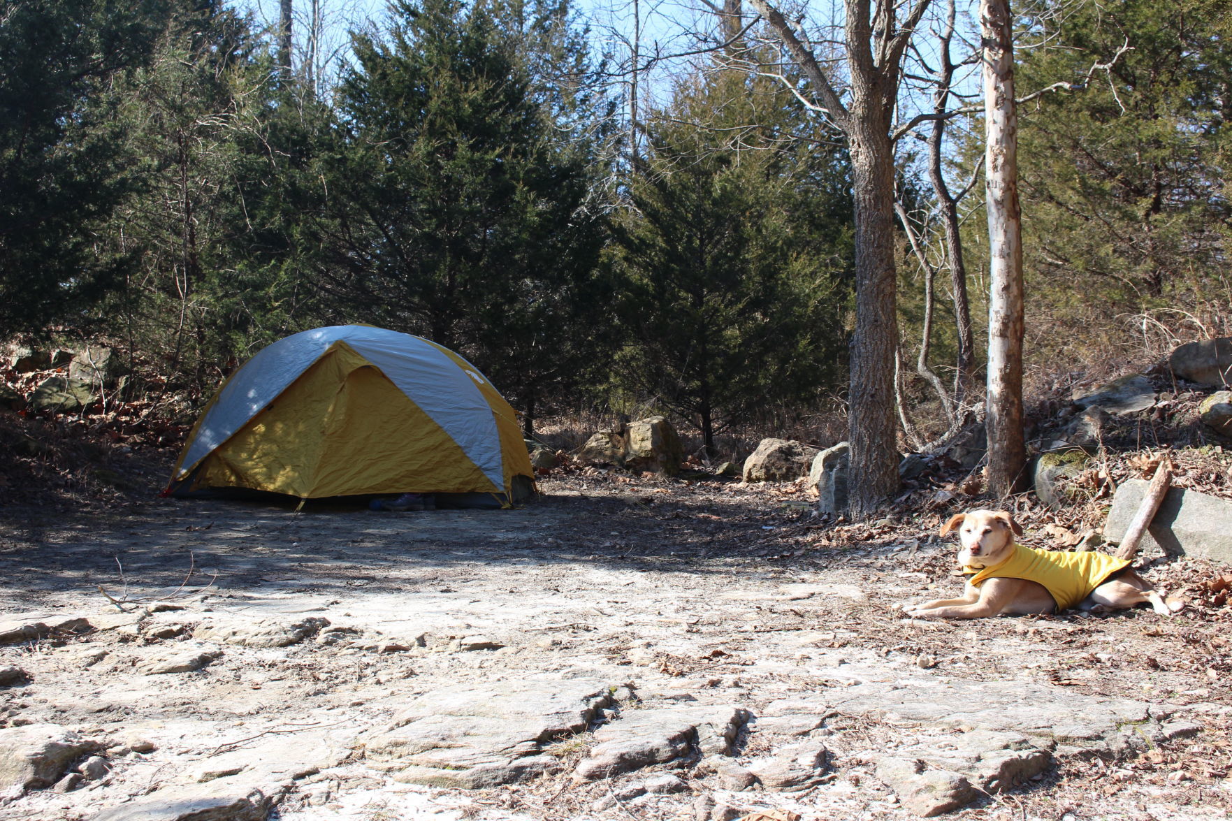 johnson sauk camping
