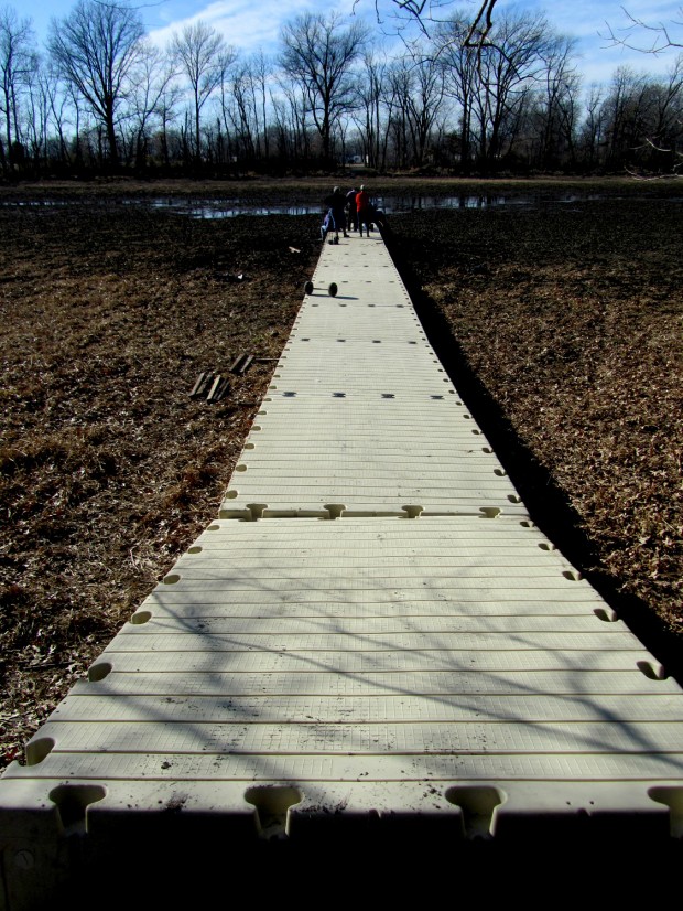Granite City Coupons >> Boardwalk brings wetlands steps closer : suburban journals branding Granite City Coupons >> Boardwalk brings wetlands steps closer : suburban journals branding