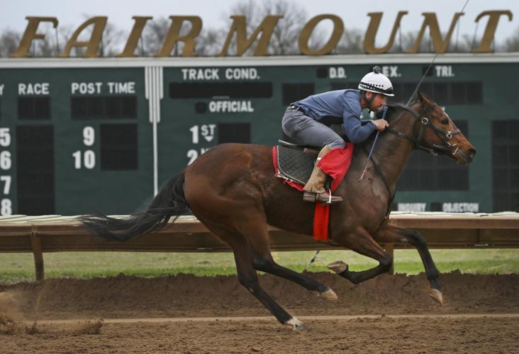 Fairmount park horse racing betting named reactions in alcohols phenols and ethers