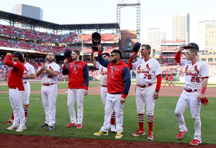 St. Louis Cardinals on X: Walking into March. #WomensHistoryMonth