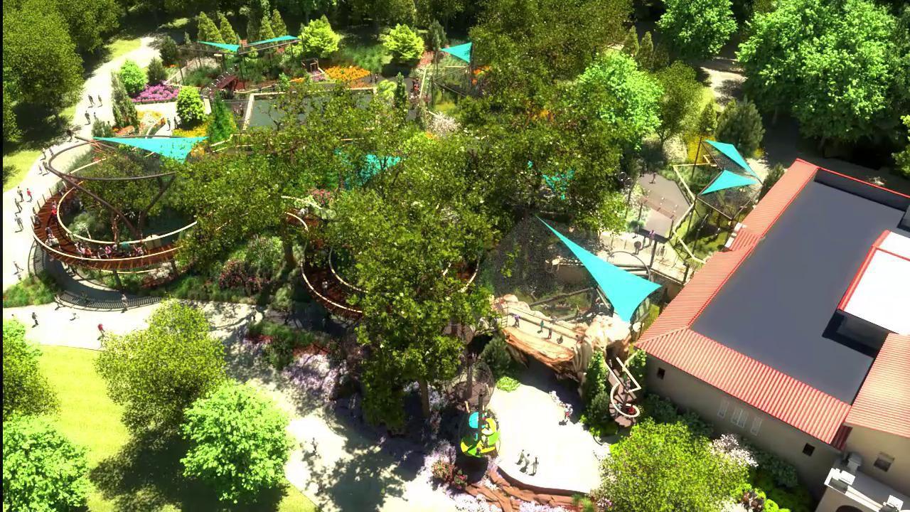 Primate Canopy Trails Flythrough Animation Stltoday Com