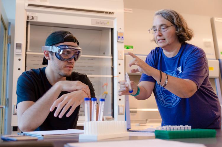 Webster University’s newly created Gleich Honors College is designed