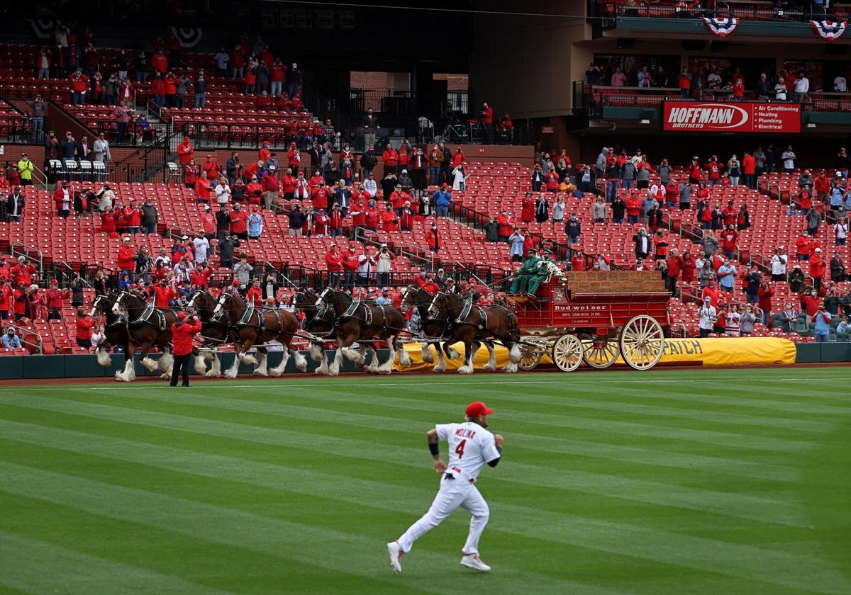 David Freese Believe (Crossing the Plate, Game 6) St. Louis Cardinal –  Sports Poster Warehouse