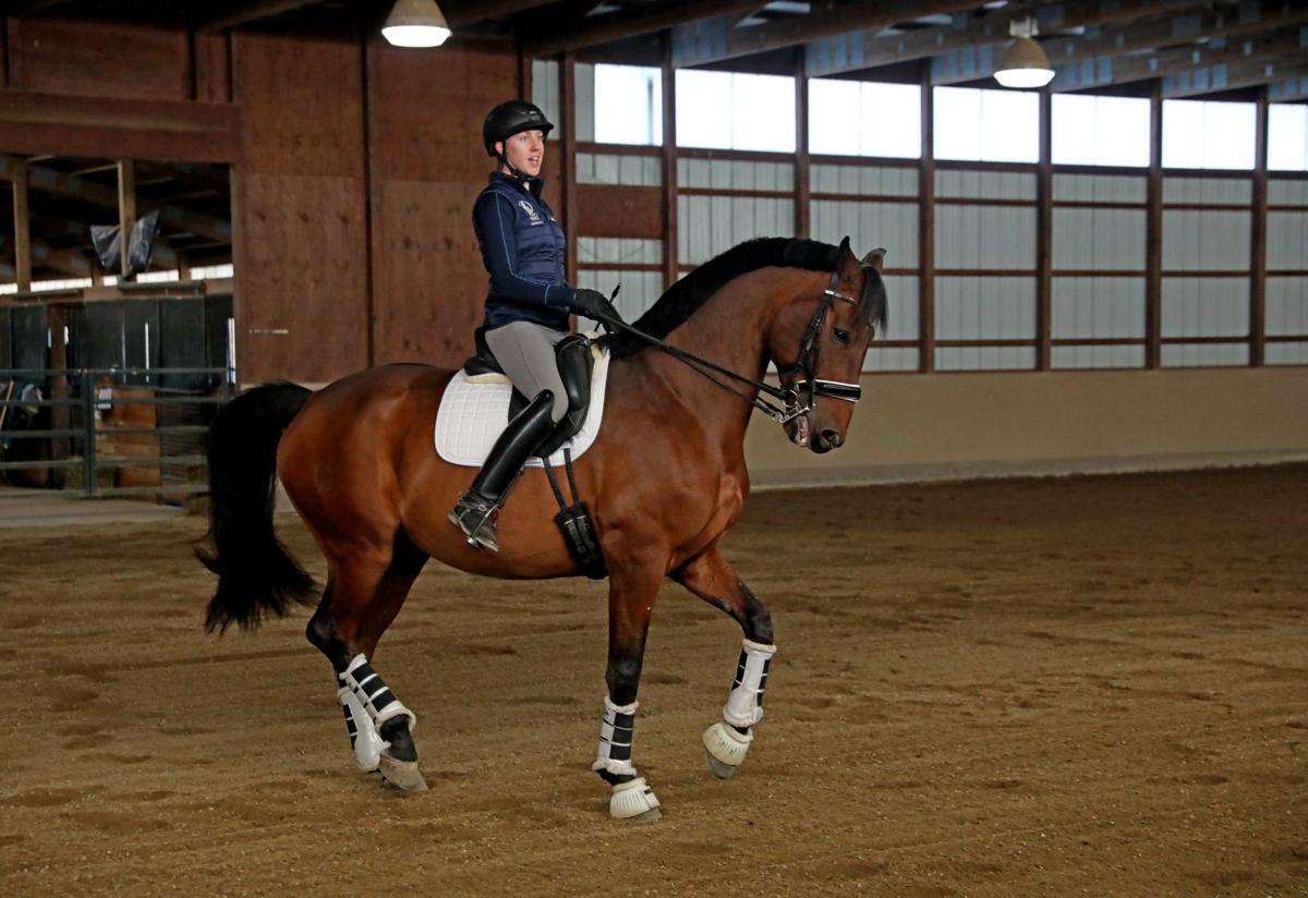 Best Of St Louis Local Equestrian Competitor And Her Horse Make Their Way Up Dressage Ladder Sports Stltoday Com