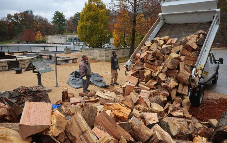 Fresh fire wood for bonfire at Steinberg ice skating rink