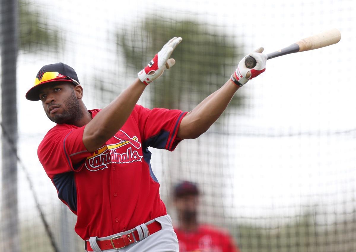 Cardinals spring training