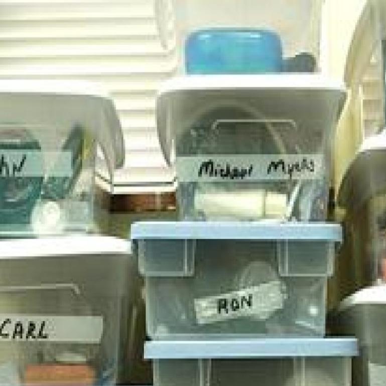 Just A Bus Ride From A Hot Shower Local News From The St Charles Suburban Journals Stltoday Com Gn & g$montana & neuroziz touch me (ava, audiobotz (fl) & alekay remix). st louis post dispatch