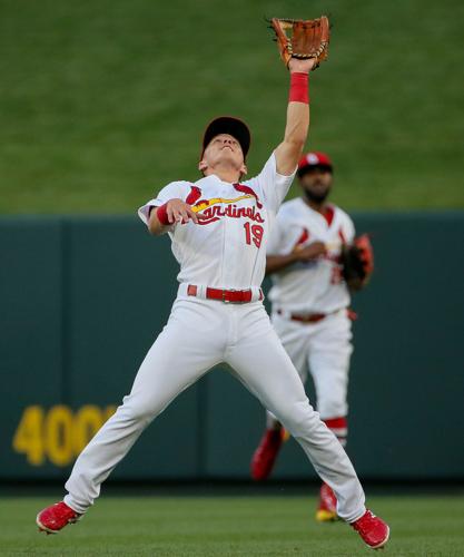 Tommy Edman brother sister baseball Cardinals Twins