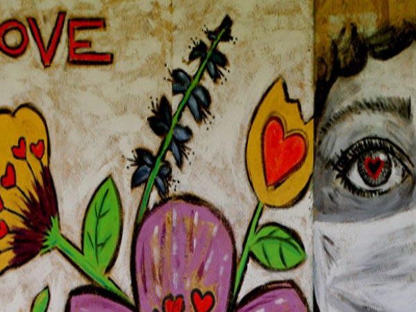 Boarded Up Windows Become Works Of Beauty By St Louis Artists