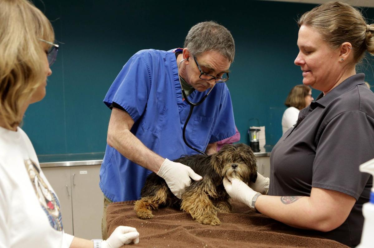 Humane Society In St Louis Rescues 25 Dogs One Cat After Owner S