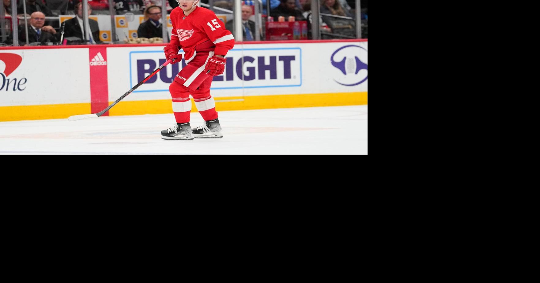 Red Wings' Vrana placed in player assistance program