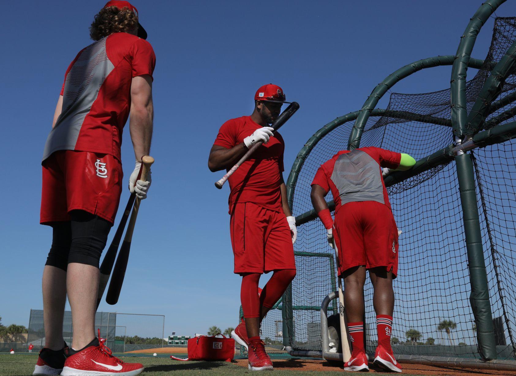 Cardinals spring training continues