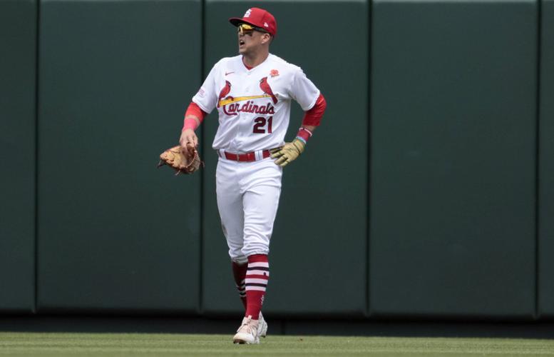 St. Louis Cardinals on X: Hangin' out(field). 🤙   / X