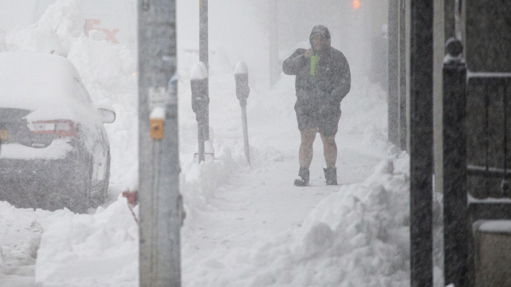 Caesar's better bettor: Move of Bills-Browns game snows under some 'savvy' gamblers