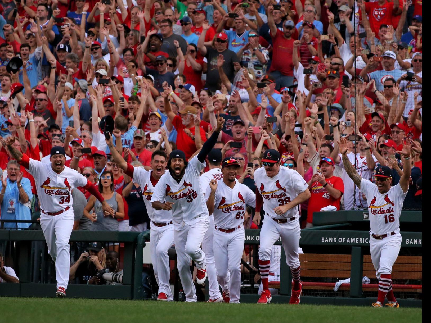 Cardinals Clinch Nl Central Title With 9 0 Pounding Of Cubs Cardinal Beat Stltoday Com