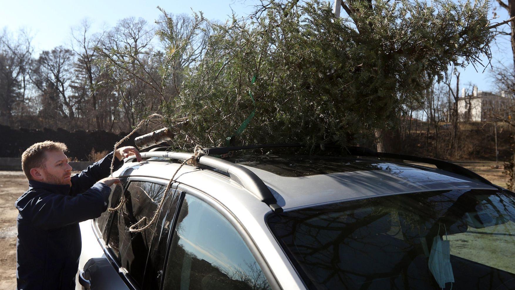 Photos: St. Louis city offers free drop off spots for people to recycle Christmas trees