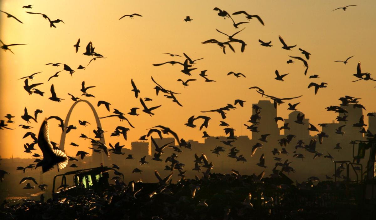 Fairmont City, Roxana Landfill, lose bid to quash proposed trash station