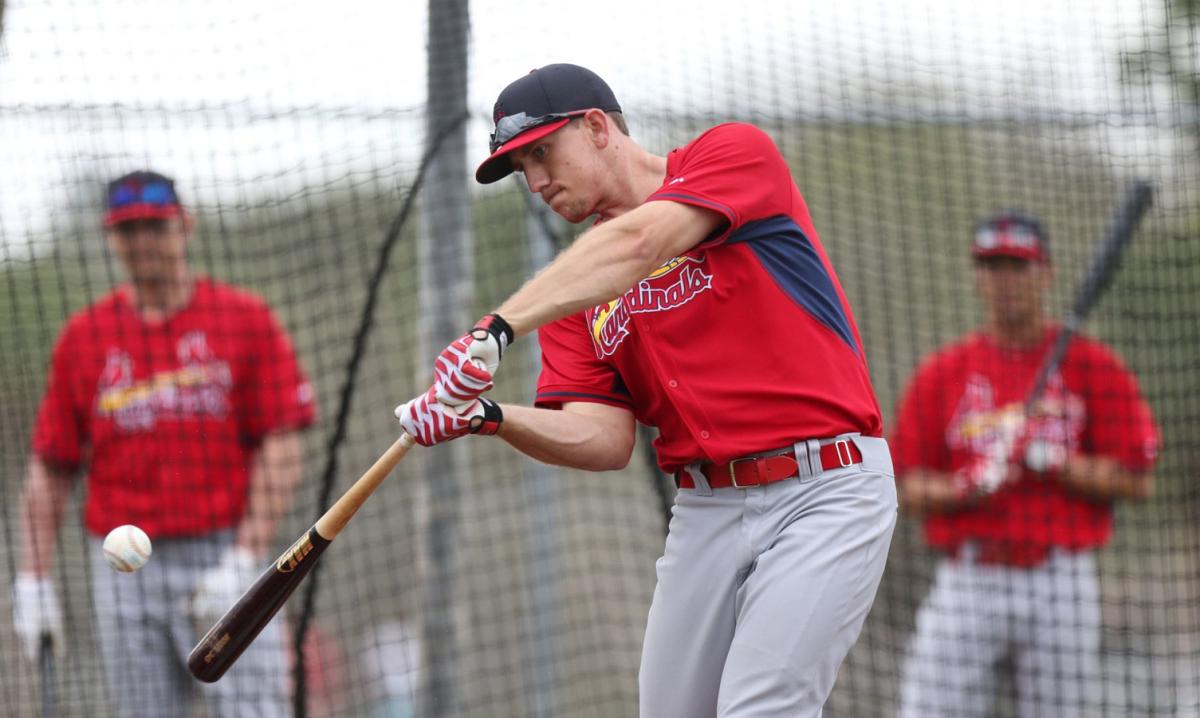 Cardinals spring training