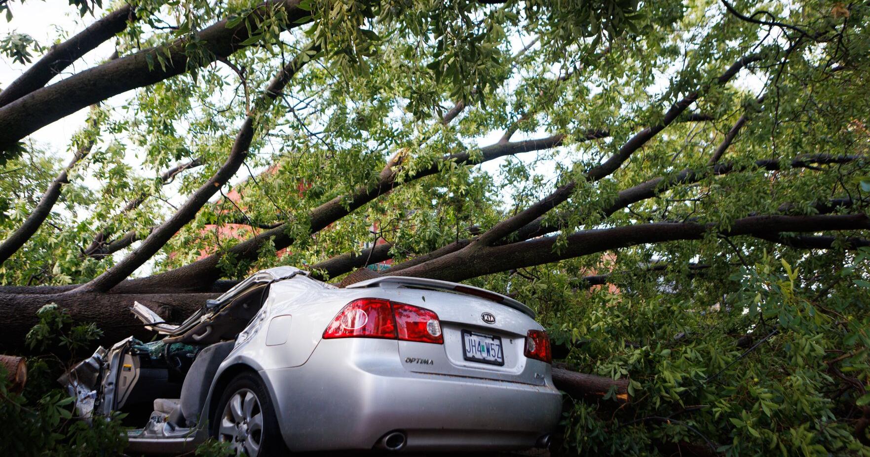 Fierce storms in St. Louis area leave two dead, tens of thousands without power - Vimarsana News