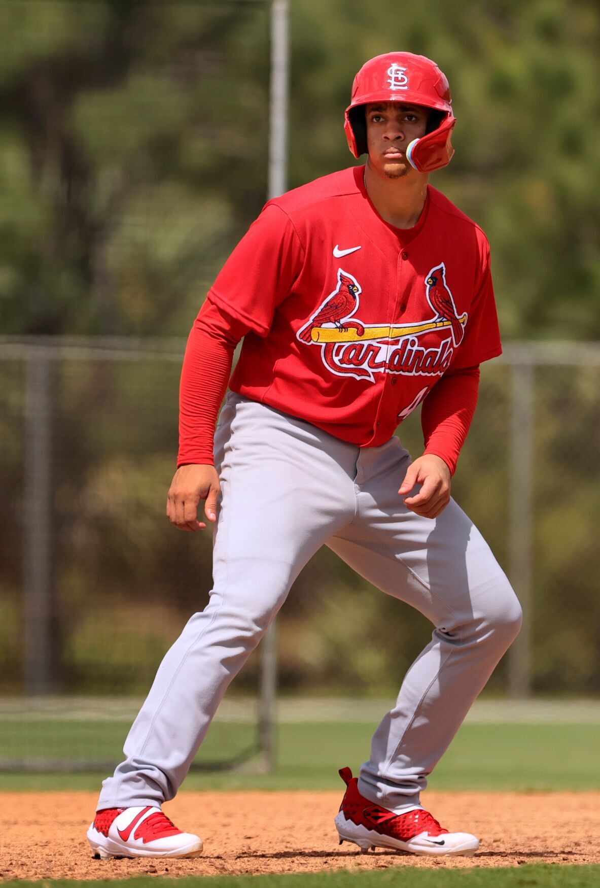 St. Louis Cardinals Spring Training 2023 3/4 Red Sleeve Raglan