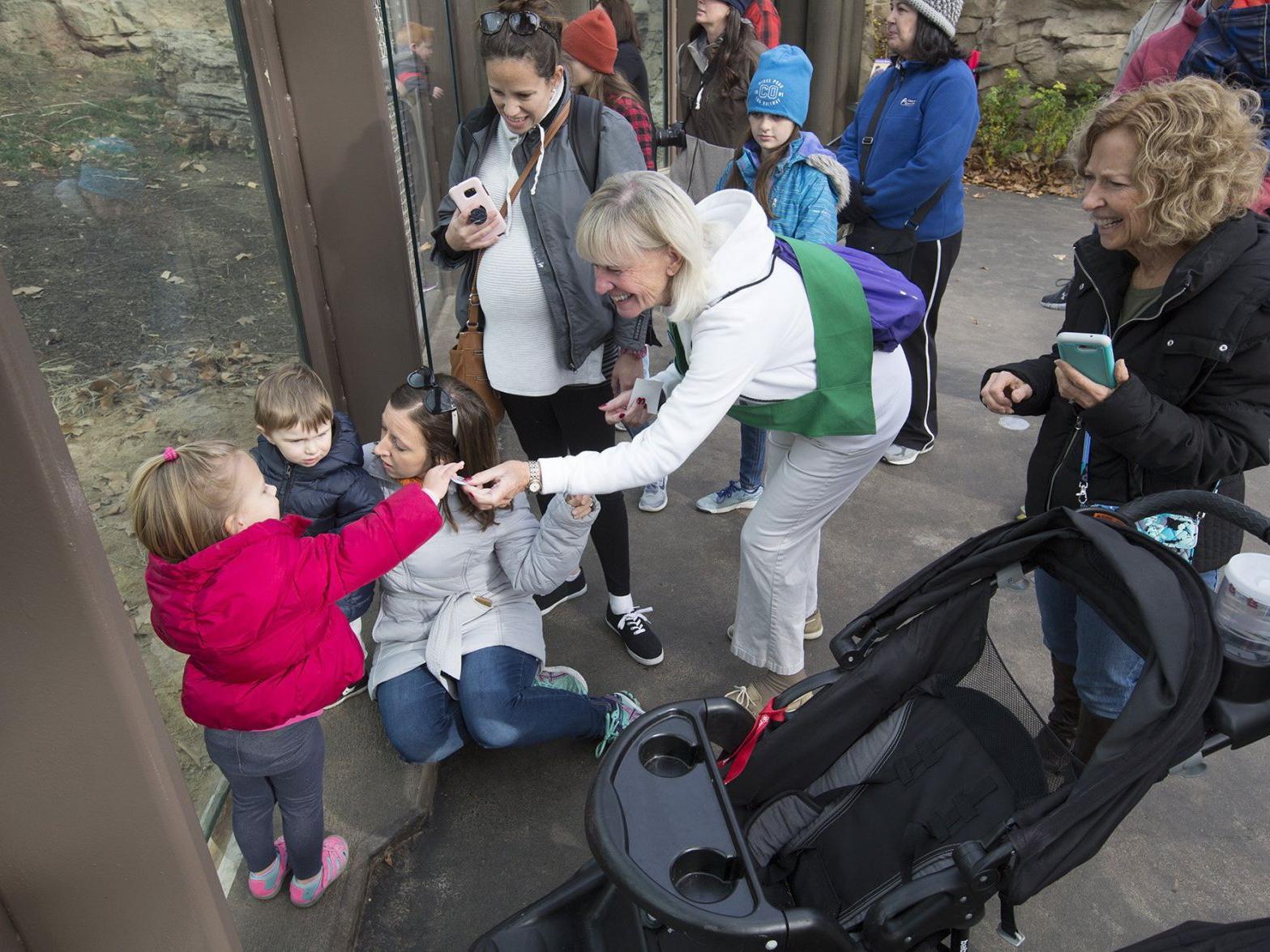 st louis post dispatch