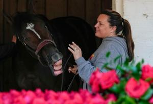 Golden Tempo reached to nip the lead as Cherie DeVaux takes him out of his stall after winning the 152nd running of the Kentucky