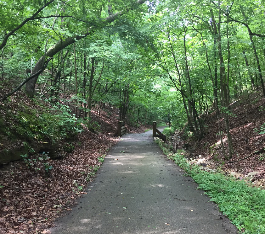 Rock Hollow Trail Health