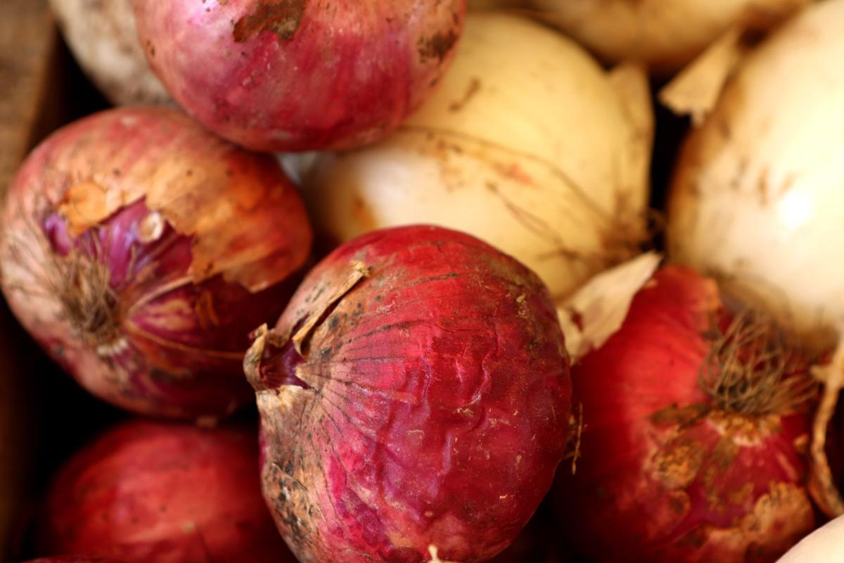 When to harvest garlic and onions