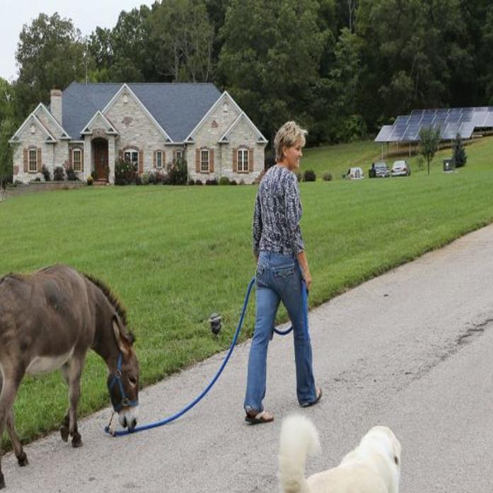 At Home With The Wegeners In High Ridge Home Garden Stltoday Com