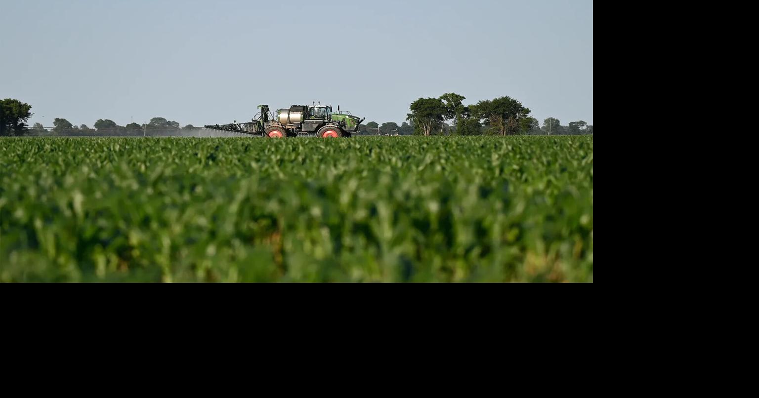Image for article The unseen harvest Pesticides, cancer and rural Missouris health crisis
