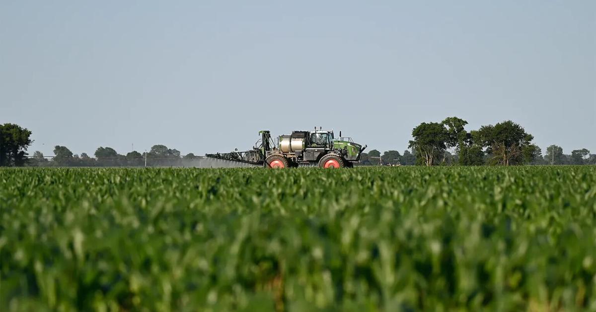 Image for article The unseen harvest Pesticides, cancer and rural Missouris health crisis