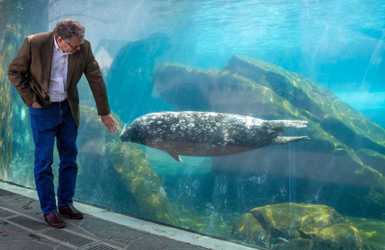 Jeff Bonner St. Louis Zoo president Jeffrey Bonner announces retirement