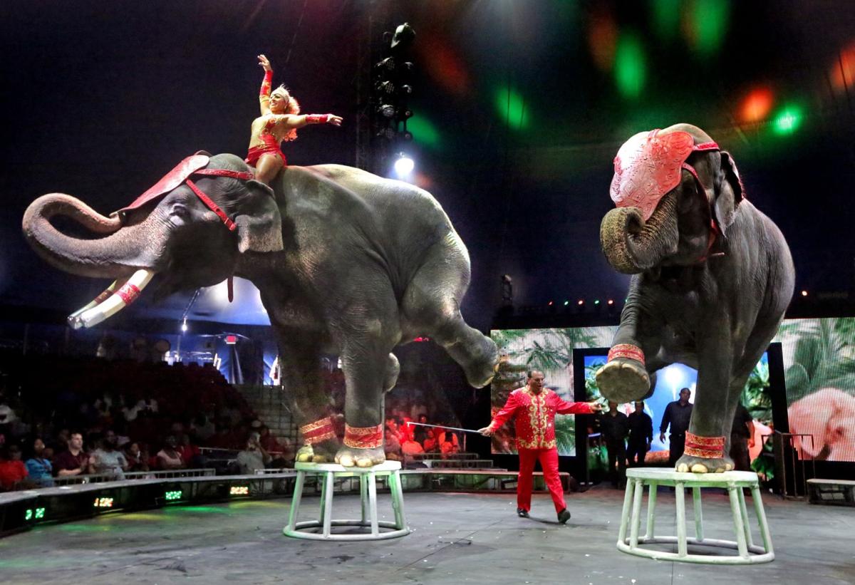 UniverSoul Circus sets up downtown Entertainment