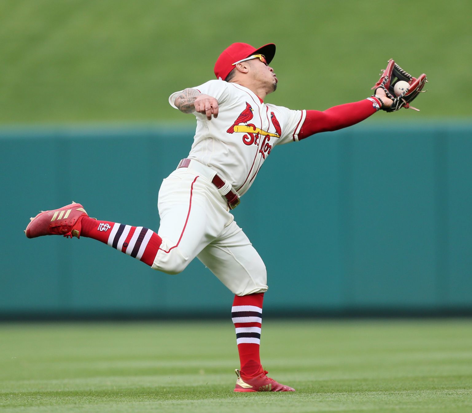 Photos: Cardinals Beat Reds On Molina's Homer | St. Louis Cardinals ...