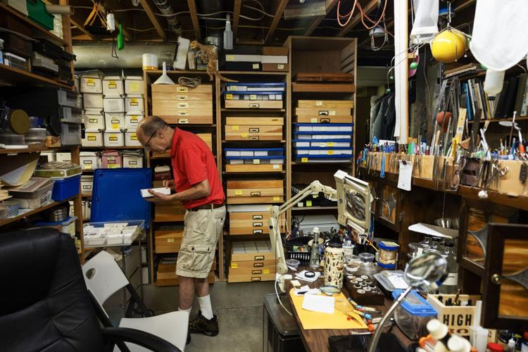 The amateur entomologist behind the City Museum’s insect collection